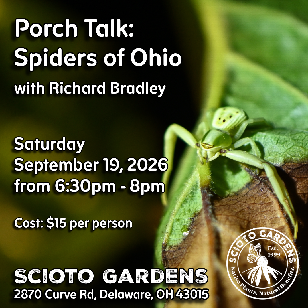Spiders of Ohio followed by a spider hunt with Richard Bradley (Emeritus Associate Professor at the OSU EEO Biology Dept; and Volunteer Curator of the William Barrows Spider Collection OSU Museum of B
