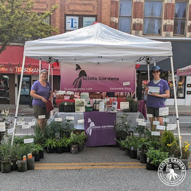 Programs & Events