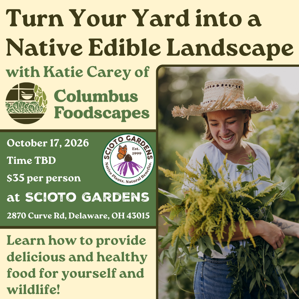 Turn Your Yard into a Native Edible Landscape with Katie Carey (owner and founder of Columbus Foodscapes)