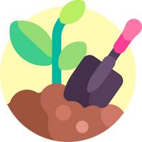 Plant Care & Installation Quick-Guide