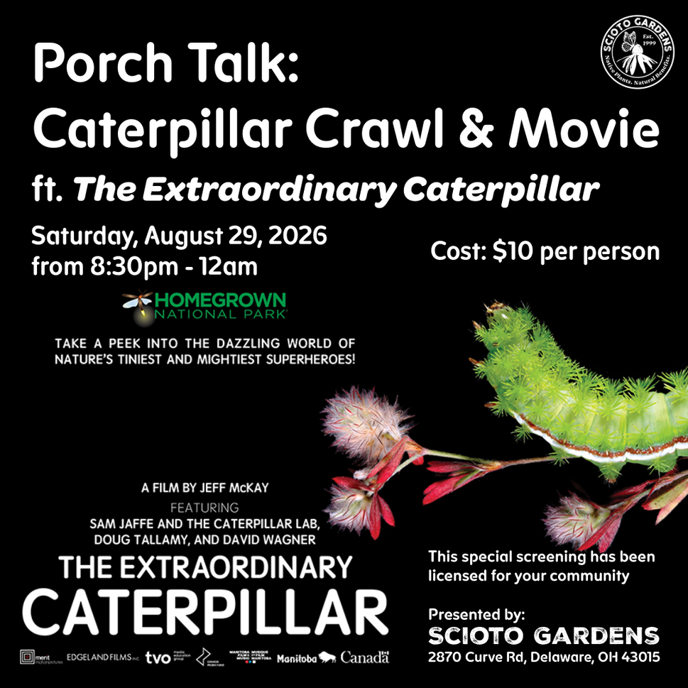 Caterpillar Crawl & Movie (ft. The Extraordinary Caterpillar)