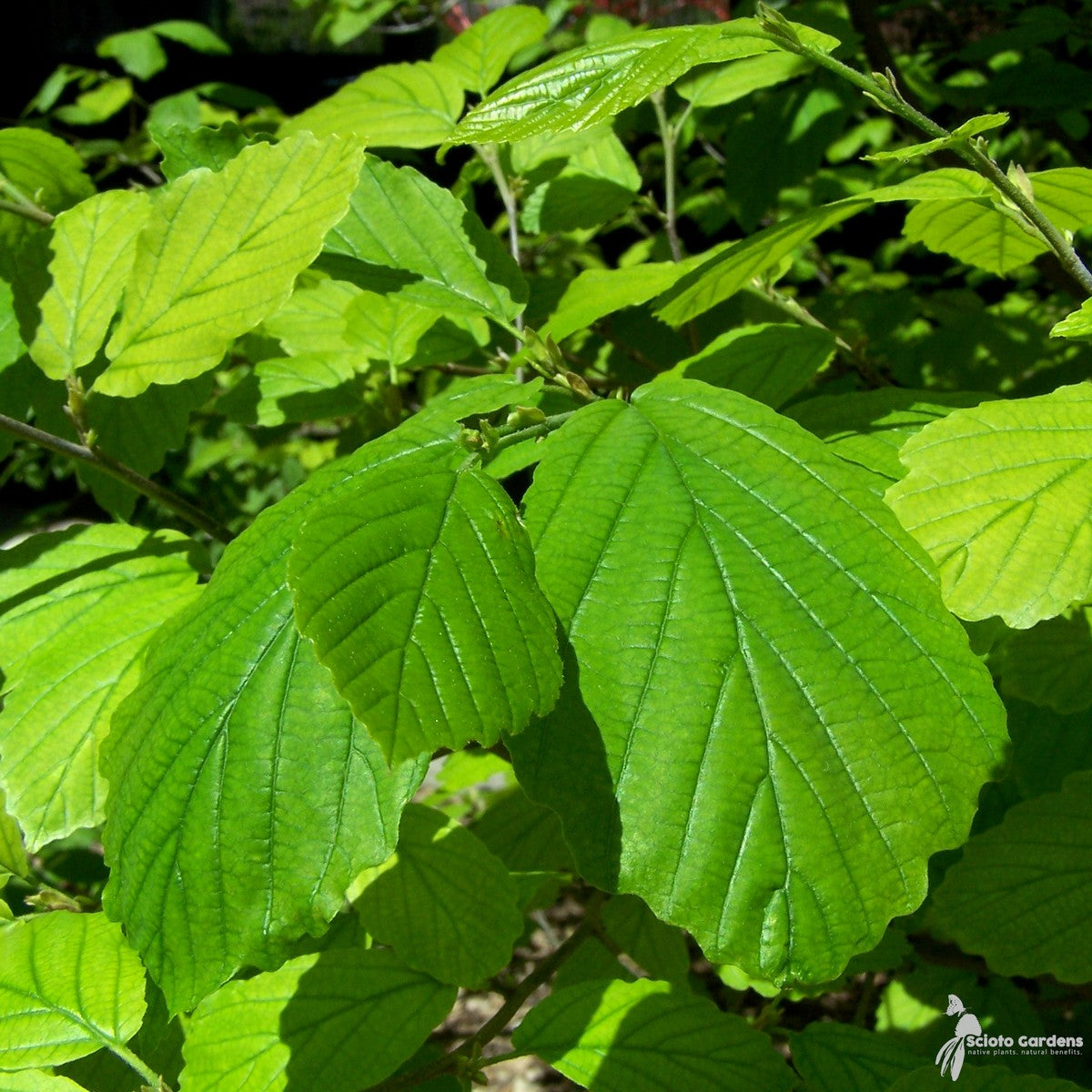 365-CTLG-FULL